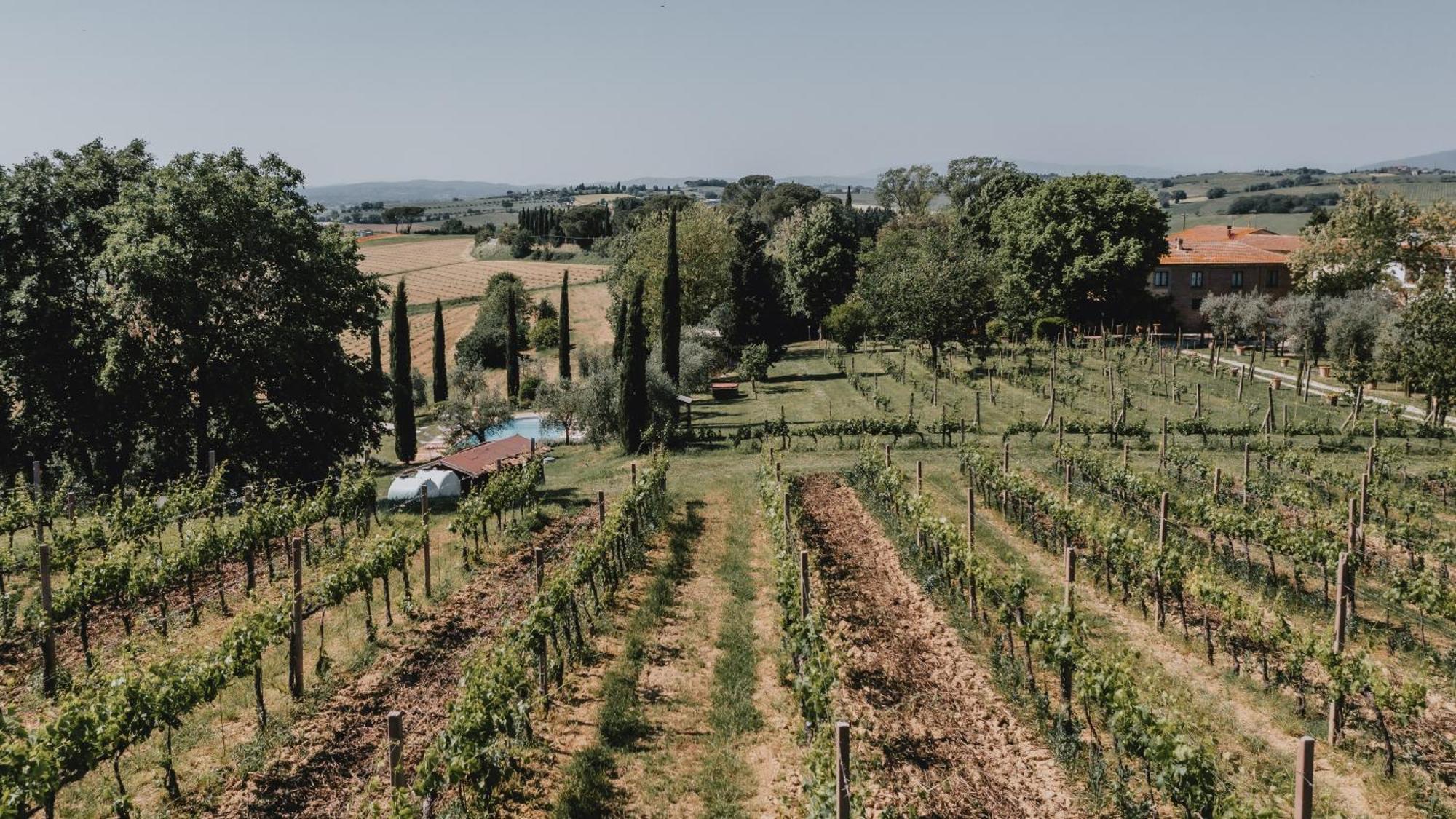 Podere Biagio Valiano Luaran gambar
