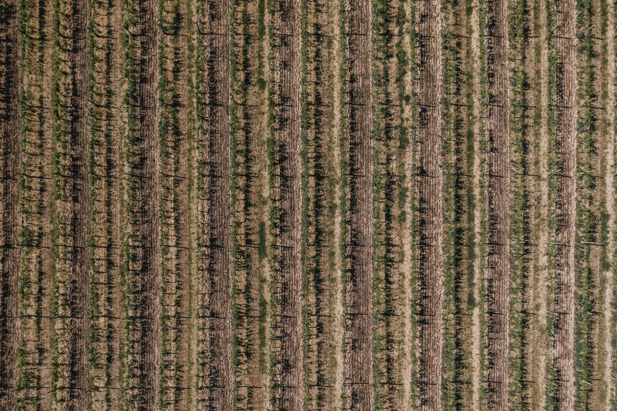 Podere Biagio Valiano Luaran gambar