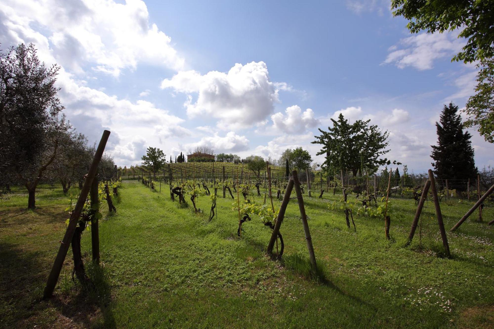 Podere Biagio Valiano Luaran gambar